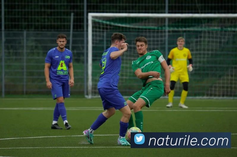企业概况